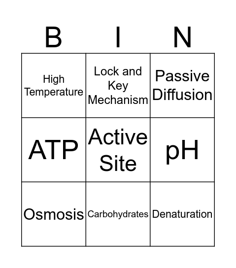 Unit 3 Biology Diffusion and Osmosis and Bio-molecules Bingo Card