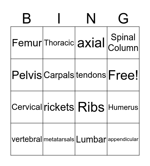 Skeletal Bingo  Bingo Card