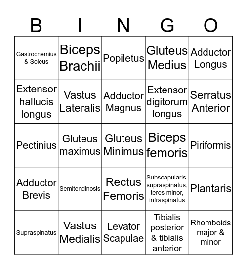 Anatomy Bingo- Muscles & actions Bingo Card