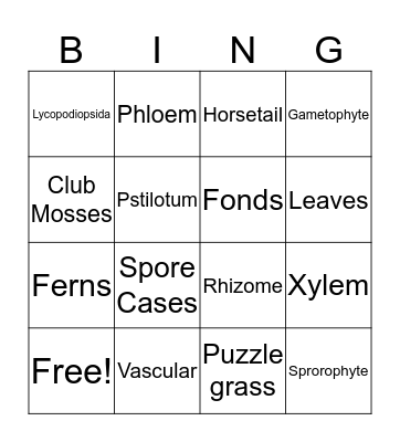 Nonvascular Seedless Plants Bingo Card