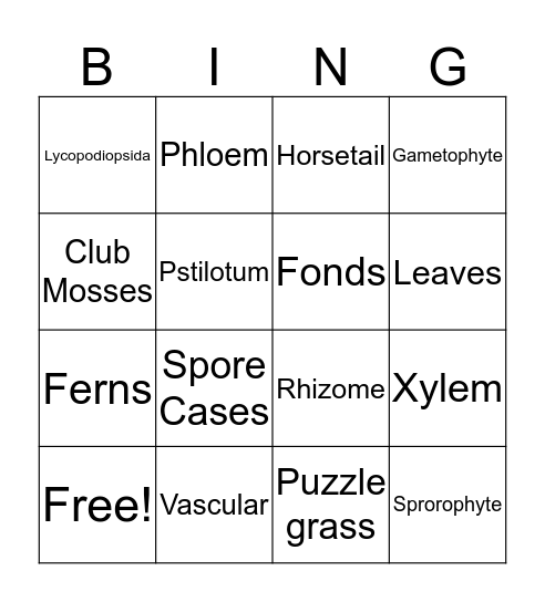 Nonvascular Seedless Plants Bingo Card