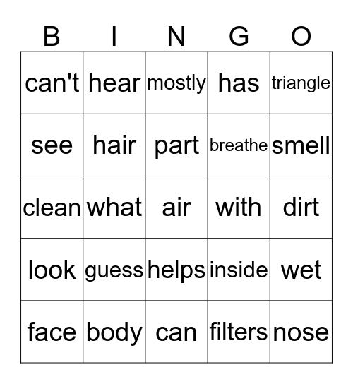 What Is It Bingo Card