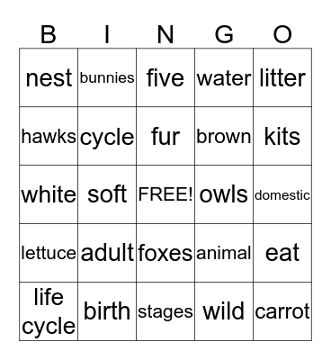 rabbit bingo Card