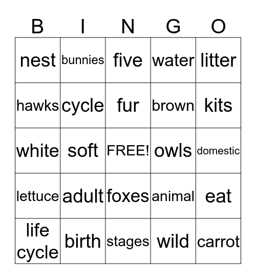 rabbit bingo Card