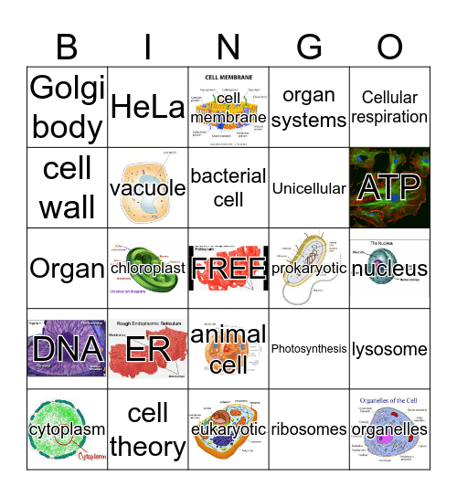 CELL BINGO Card