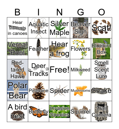 Sensory Bingo Card