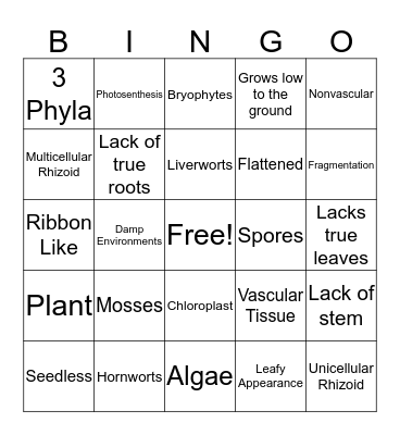 Seedless Nonvascular Plants Bingo Card