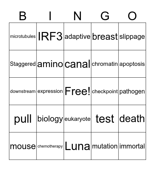 cGAS BINGO Card