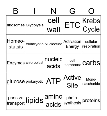Biology Final Bingo (Cells) Bingo Card
