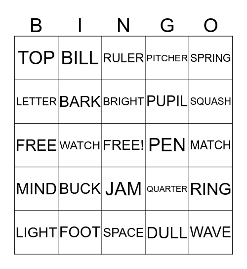 Multiple Meaning Words Bingo Card
