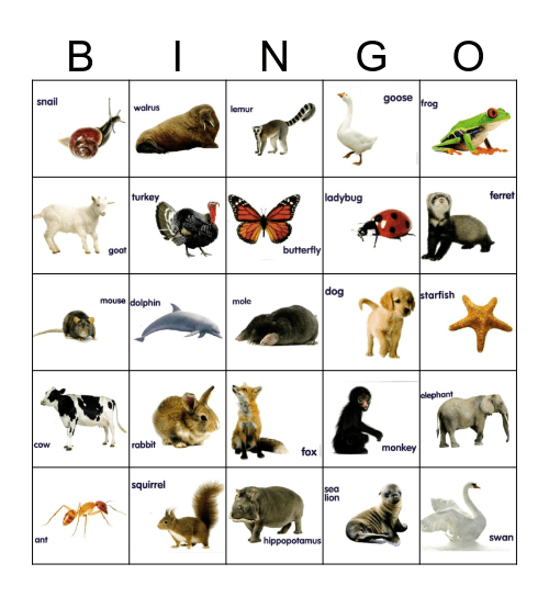 Animal Bingo with Names Bingo Card