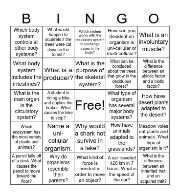 Winter Break Science BINGO Card