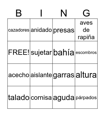 Vocabulary Set #14 Bingo Card