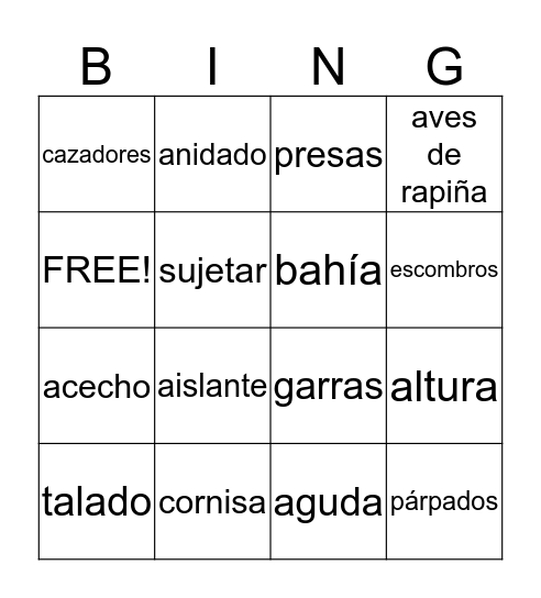 Vocabulary Set #14 Bingo Card