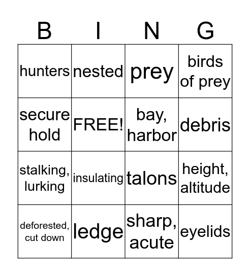 Vocabulary Set #14 Bingo Card