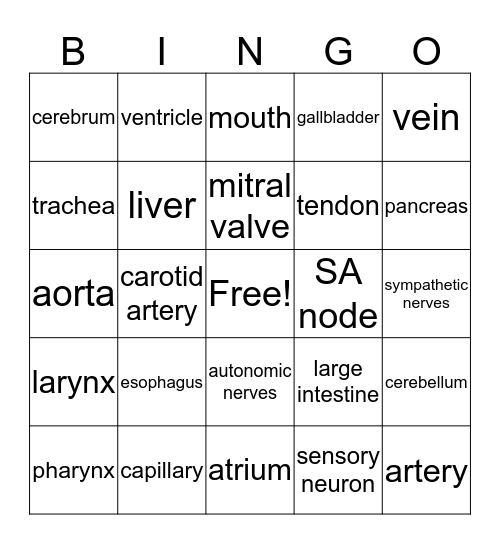 FEx Review Bingo Card