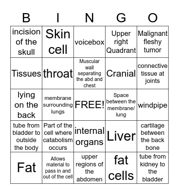 Unit 2 Spelling and Terms Bingo Card