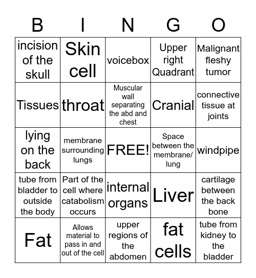 Unit 2 Spelling and Terms Bingo Card