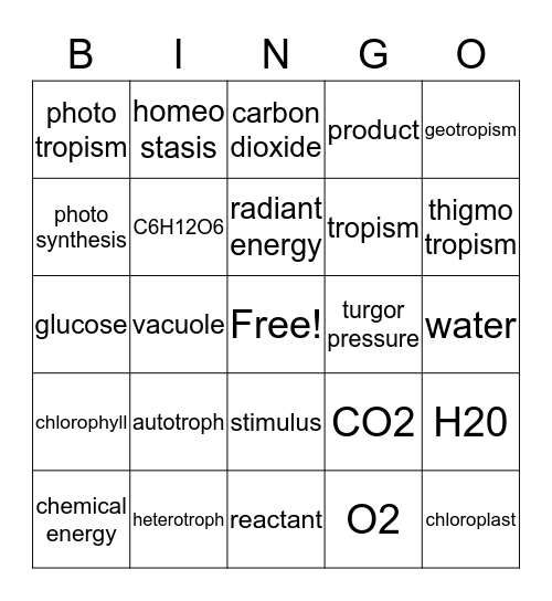 Photosynthesis and Stimulus & Response Bingo Card