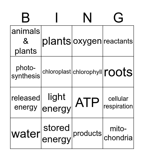 Cell Energy Bingo Card