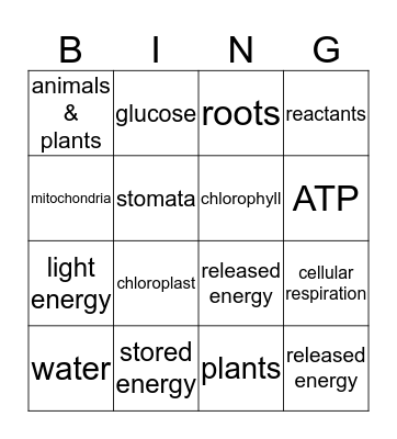 Cell Energy Bingo Card