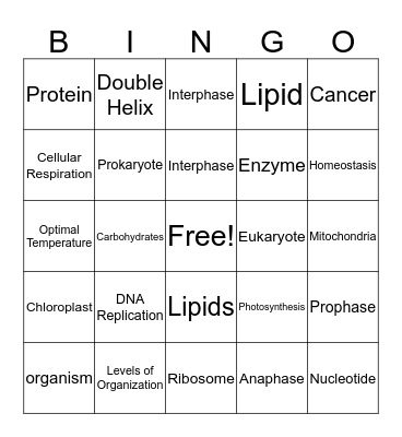 Mid-Term Review Bingo Card