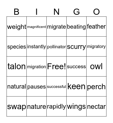 Lillian/Dannica Bingo Card