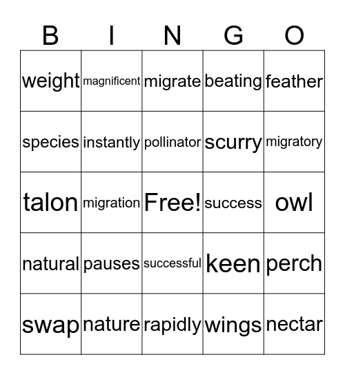 Lillian/Dannica Bingo Card