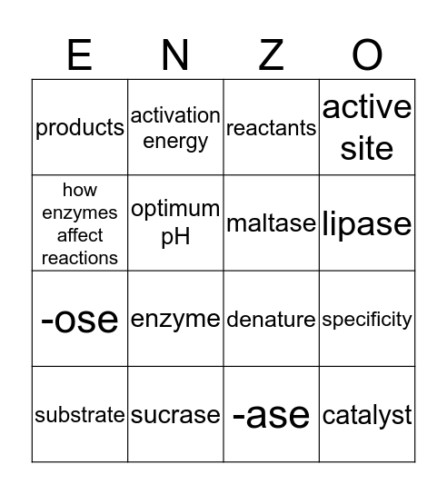 Enzyme Bingo Card