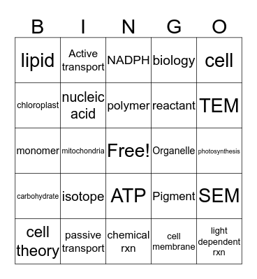 Exam Review Bingo Card