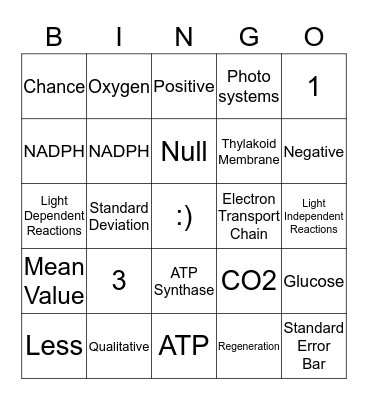 Semester Exam Review! Bingo Card