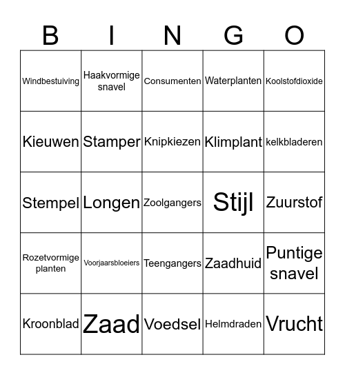 Begrippentoets oefenen Bingo Card