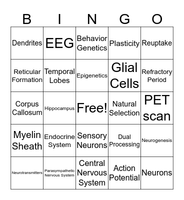 Biological Bases Bingo Card