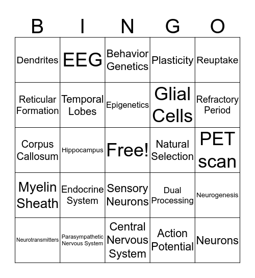 Biological Bases Bingo Card