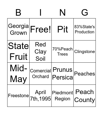 P-E-A-C-H-E-S Bingo Card