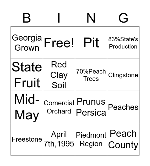 P-E-A-C-H-E-S Bingo Card