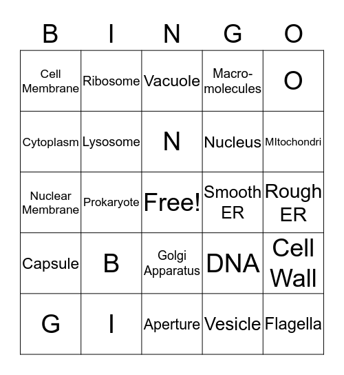 Cell Organelles Bingo Card