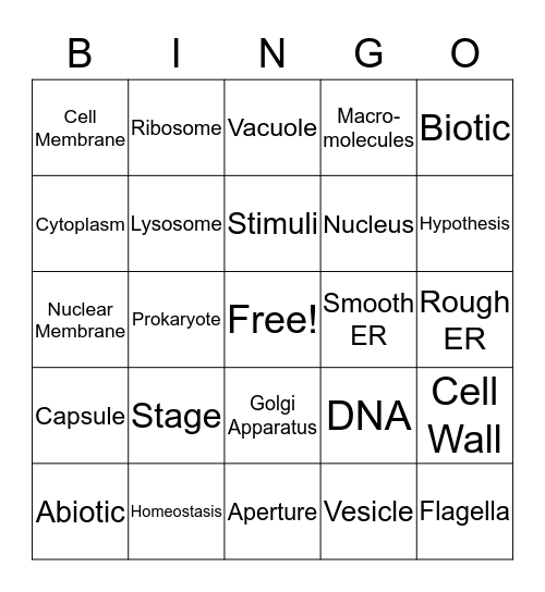 Cell Organelles Bingo Card