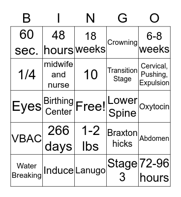 Finals Review! Bingo Card