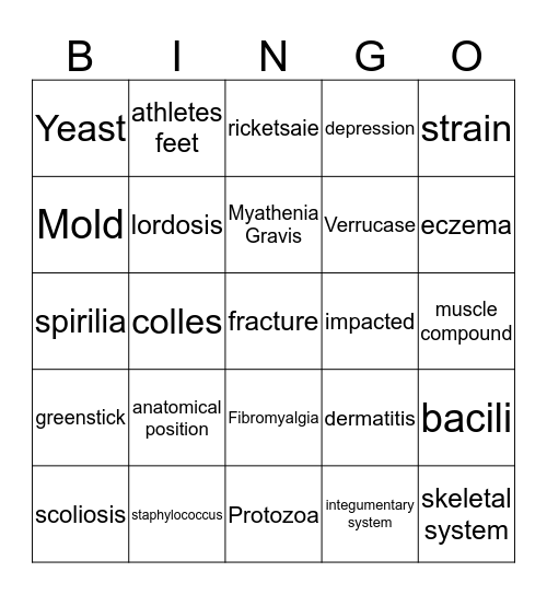 Health Review Bingo Card