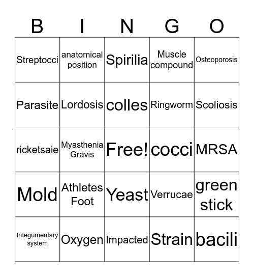 Finals Review Bingo Card