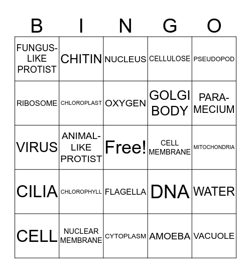CELL Bingo Card