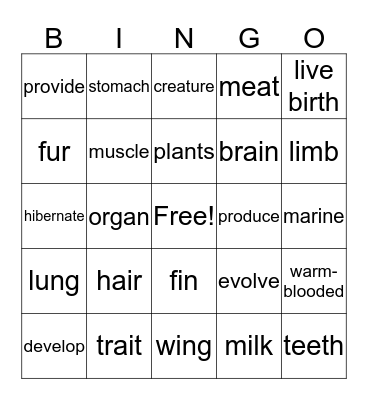 MAMMALS Bingo Card
