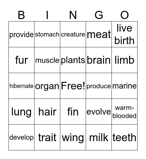 MAMMALS Bingo Card