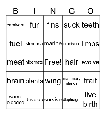MAMMALS Bingo Card