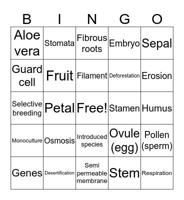 Plant Bingo Card