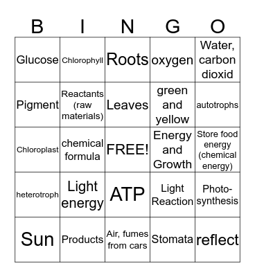 Photosynthesis Bingo Card