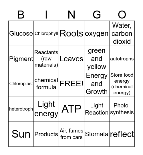 Photosynthesis Bingo Card