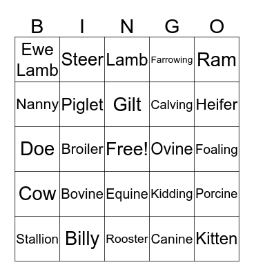 Animal Terminology Bingo Card