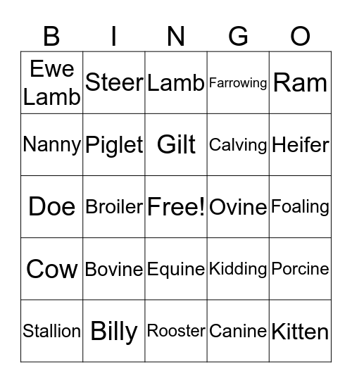 Animal Terminology Bingo Card